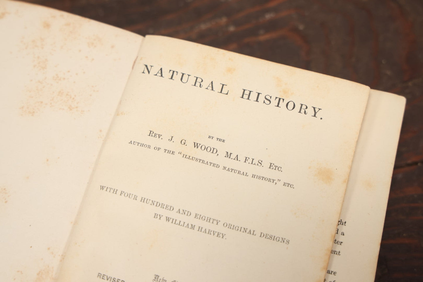 Lot 010 - "Wood'S Illustrated Natural History" Antique Illustrated Zoology Book By Reverend J.G. Wood, Over 400 Illustrations, 1874 Edition