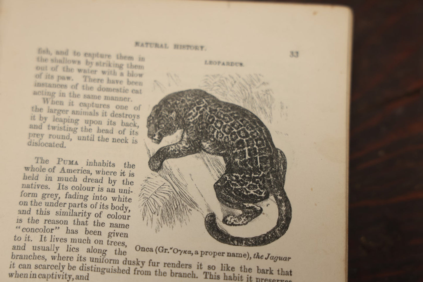 Lot 010 - "Wood'S Illustrated Natural History" Antique Illustrated Zoology Book By Reverend J.G. Wood, Over 400 Illustrations, 1874 Edition