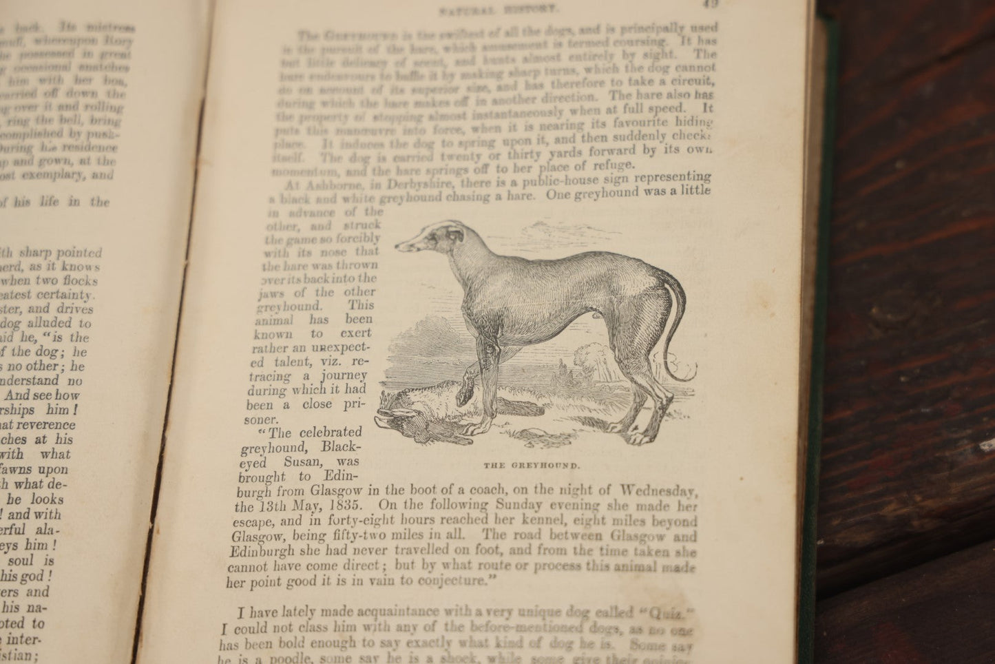 Lot 010 - "Wood'S Illustrated Natural History" Antique Illustrated Zoology Book By Reverend J.G. Wood, Over 400 Illustrations, 1874 Edition