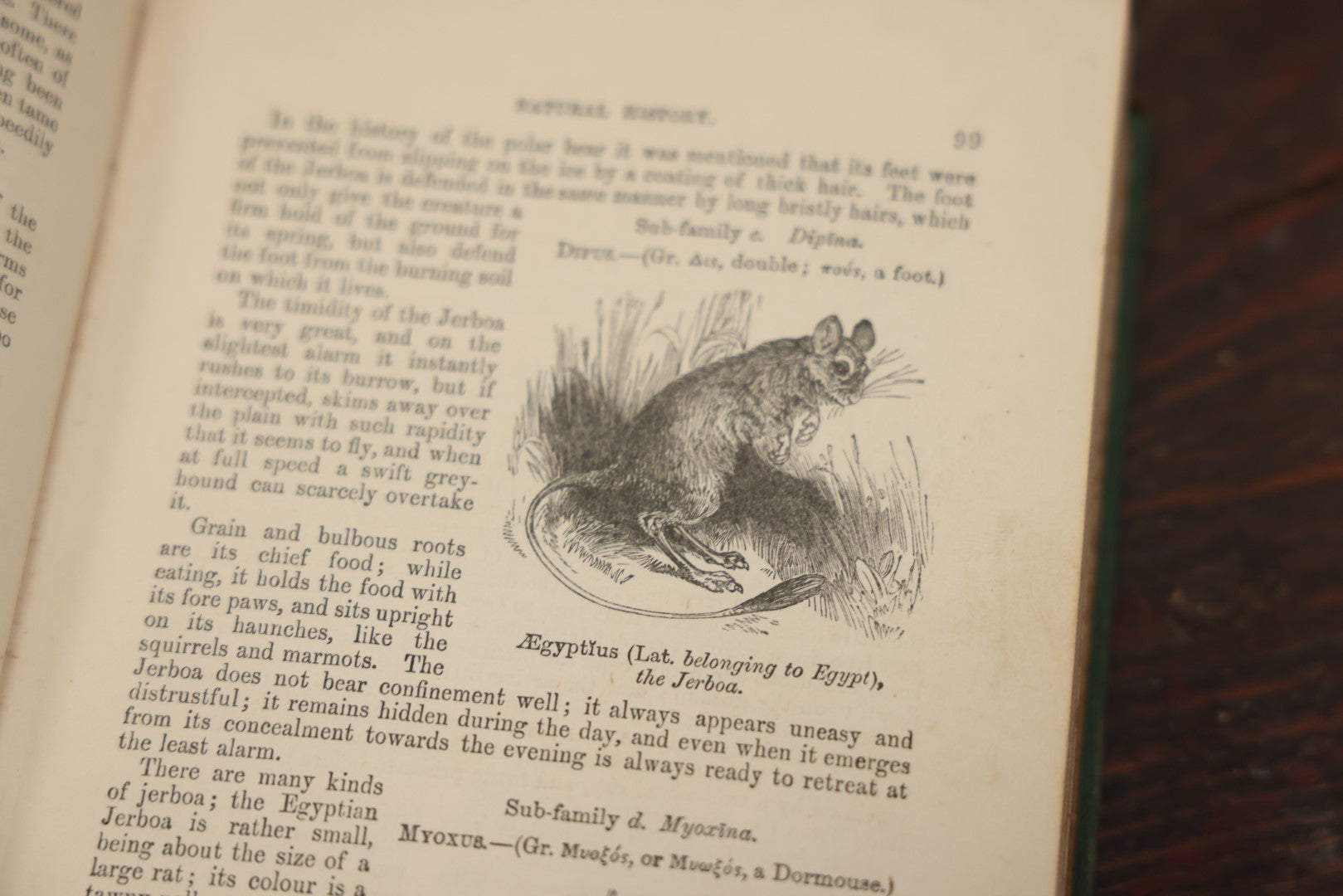 Lot 010 - "Wood'S Illustrated Natural History" Antique Illustrated Zoology Book By Reverend J.G. Wood, Over 400 Illustrations, 1874 Edition