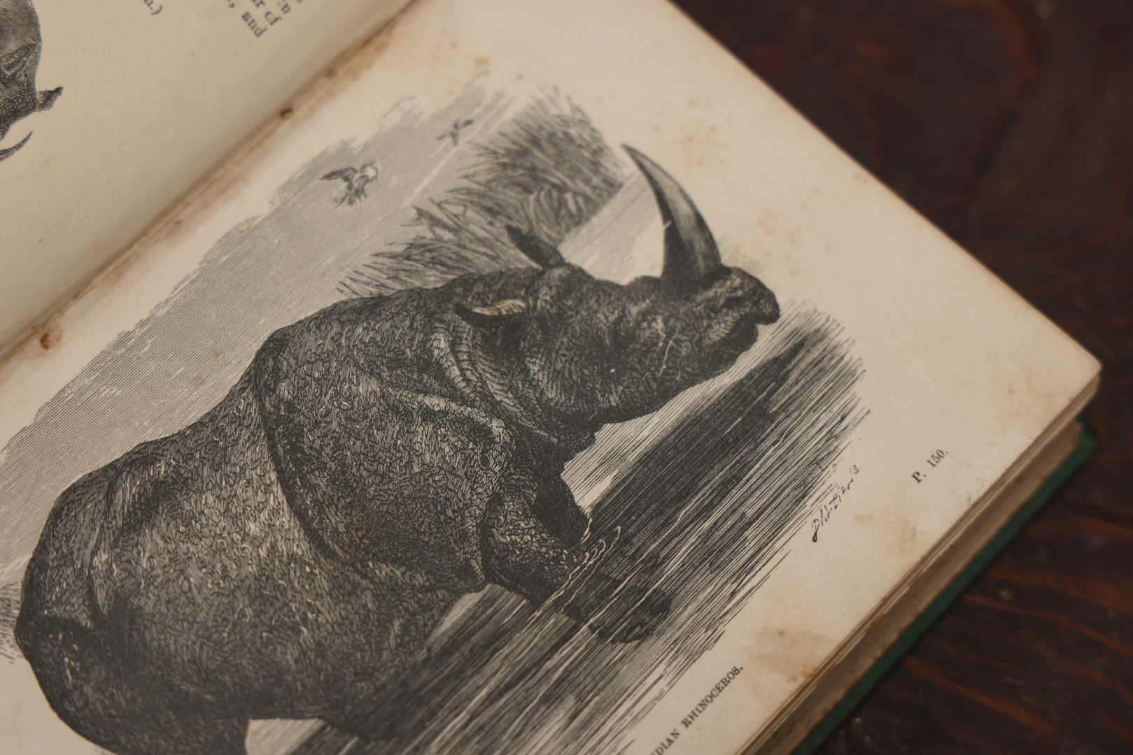 Lot 010 - "Wood'S Illustrated Natural History" Antique Illustrated Zoology Book By Reverend J.G. Wood, Over 400 Illustrations, 1874 Edition