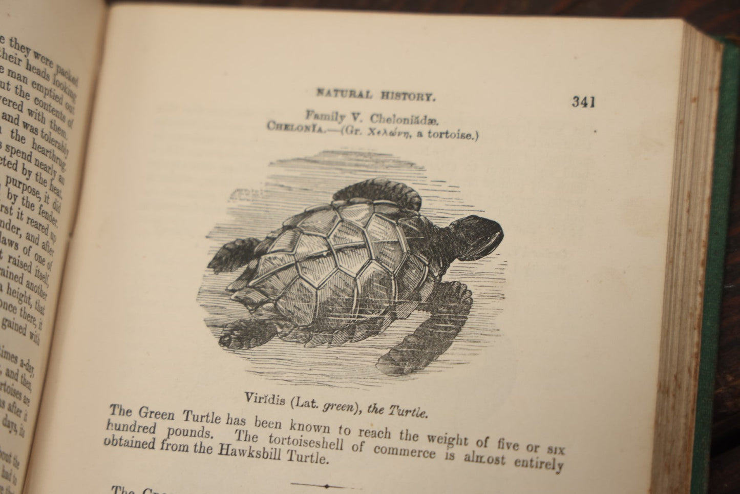 Lot 010 - "Wood'S Illustrated Natural History" Antique Illustrated Zoology Book By Reverend J.G. Wood, Over 400 Illustrations, 1874 Edition