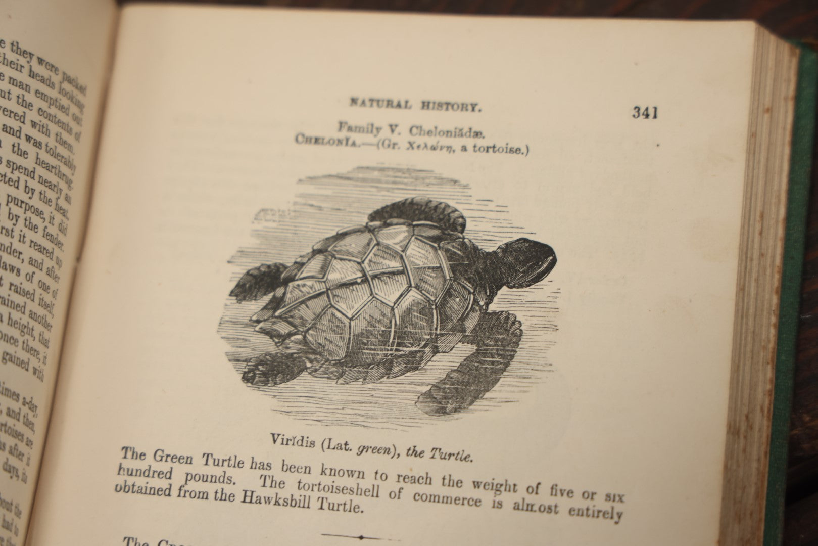 Lot 010 - "Wood'S Illustrated Natural History" Antique Illustrated Zoology Book By Reverend J.G. Wood, Over 400 Illustrations, 1874 Edition