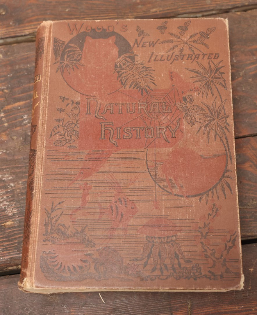 Lot 011 - "Wood'S New Illustrated Natural History" Antique Illustrated Zoology Book By Reverend J.G. Wood, Red Cover With Spider Web, Missing Title Pages