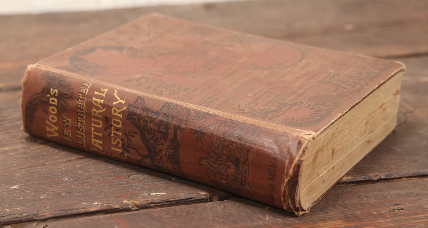 Lot 011 - "Wood'S New Illustrated Natural History" Antique Illustrated Zoology Book By Reverend J.G. Wood, Red Cover With Spider Web, Missing Title Pages