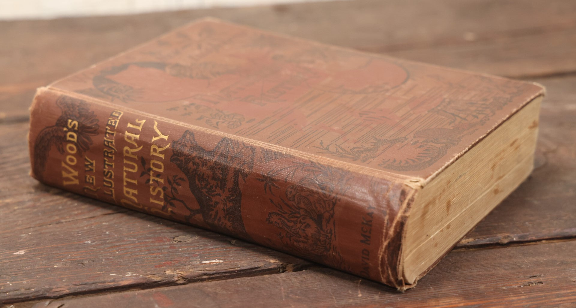 Lot 011 - "Wood'S New Illustrated Natural History" Antique Illustrated Zoology Book By Reverend J.G. Wood, Red Cover With Spider Web, Missing Title Pages