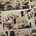 Lot 012 - Grouping Of Seven Vintage Real Photo Postcards R.P.P.C. Of Morse Natural History Museum Taxidermy Collection, Warren, New Hampshire, Circa Early 20th Century, By Putnam Photo, Antrim, New Hampshire