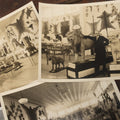 Lot 013 - Grouping Of Three Large Vintage 8" x 6" Photographs Of  Morse Natural History Museum Taxidermy Collection, Warren, New Hampshire, Circa Early 20th Century, By Putnam Photo, Antrim, New Hampshire