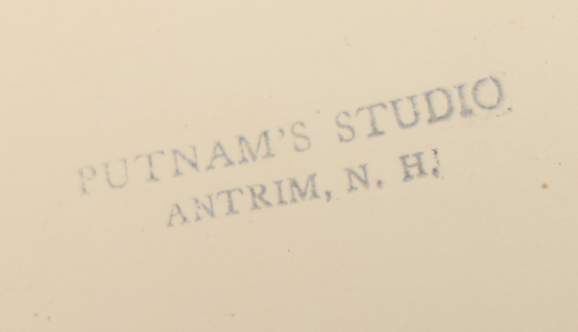 Lot 013 - Grouping Of Three Large Vintage 8" X 6" Photographs Of  Morse Natural History Museum Taxidermy Collection, Warren, New Hampshire, Circa Early 20Th Century, By Putnam Photo, Antrim, New Hampshire