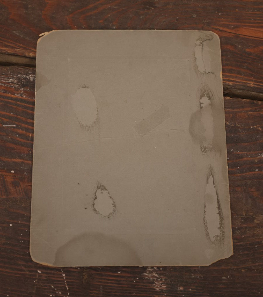 Lot 014 - Antique Boarded Photo Of A Hunter With A Rifle In A Taxidermy Shot, Posing With Buck, Other Mounts Visible Including Beaver, Owl, Etc