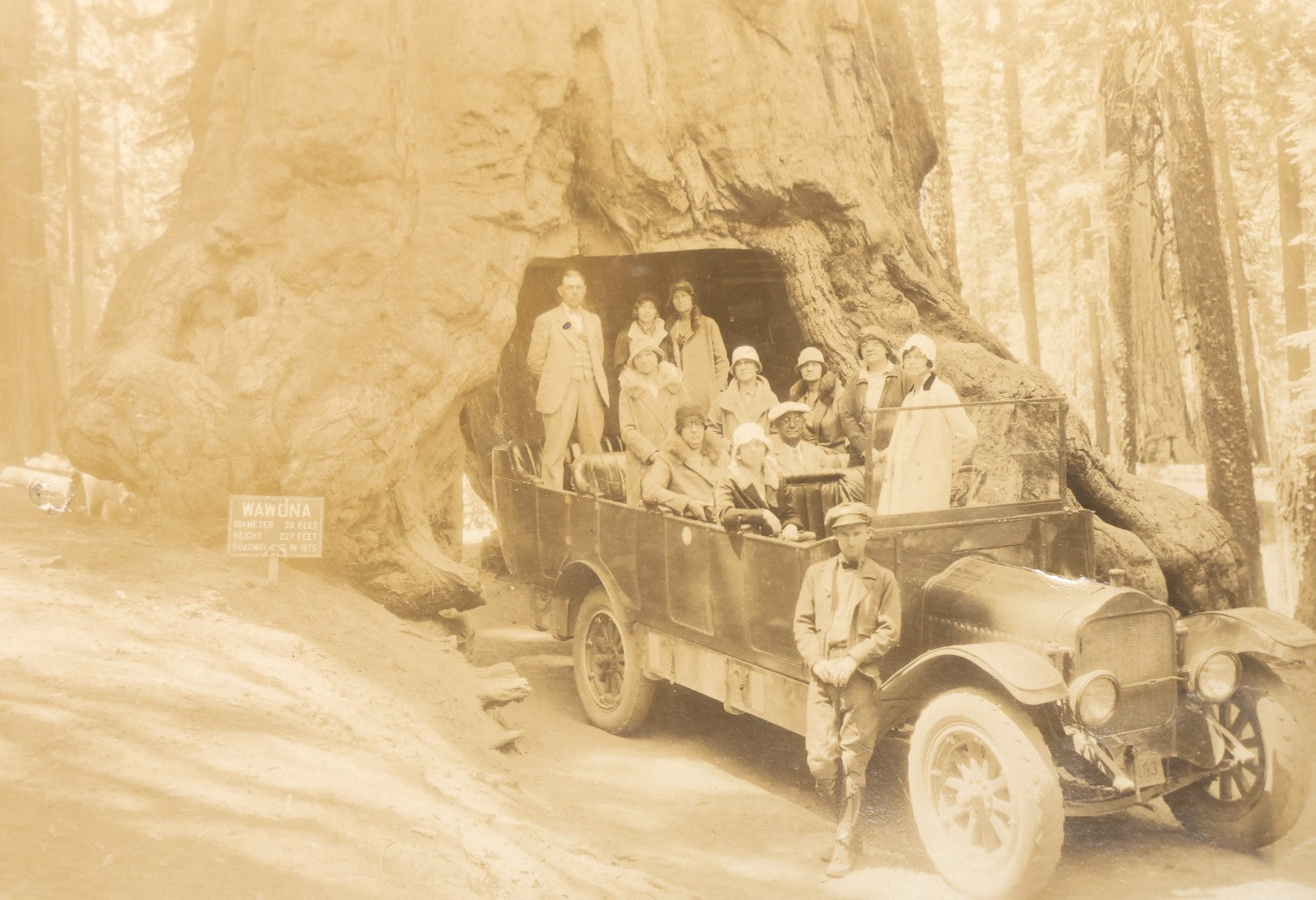 Lot 016 - Antique Photo Of A Group Of Tourists At The Base Of The Wawona Tunnel Tree, Yosemite National Park, California, Early 20Th Century