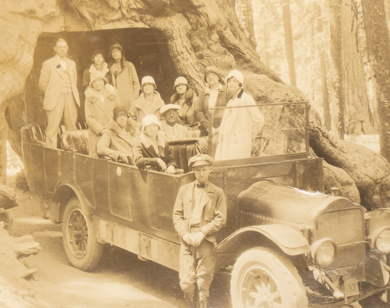 Lot 016 - Antique Photo Of A Group Of Tourists At The Base Of The Wawona Tunnel Tree, Yosemite National Park, California, Early 20Th Century