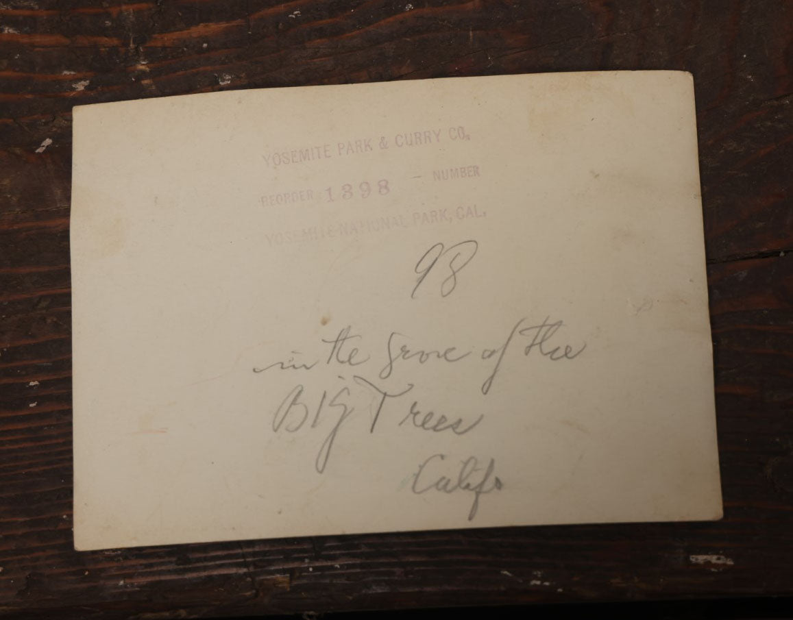 Lot 016 - Antique Photo Of A Group Of Tourists At The Base Of The Wawona Tunnel Tree, Yosemite National Park, California, Early 20Th Century