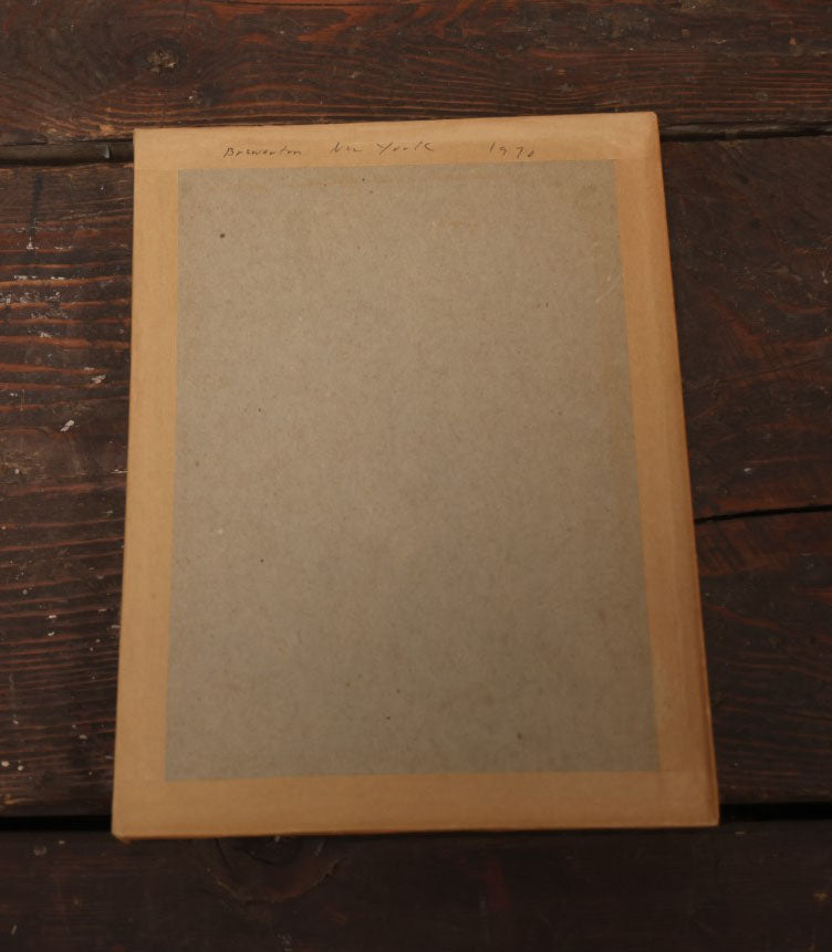 Lot 023 - Vintage Collection Of Dragonfly And Insect Specimens In Riker Case, Collected In Brewerton, New York, 1970