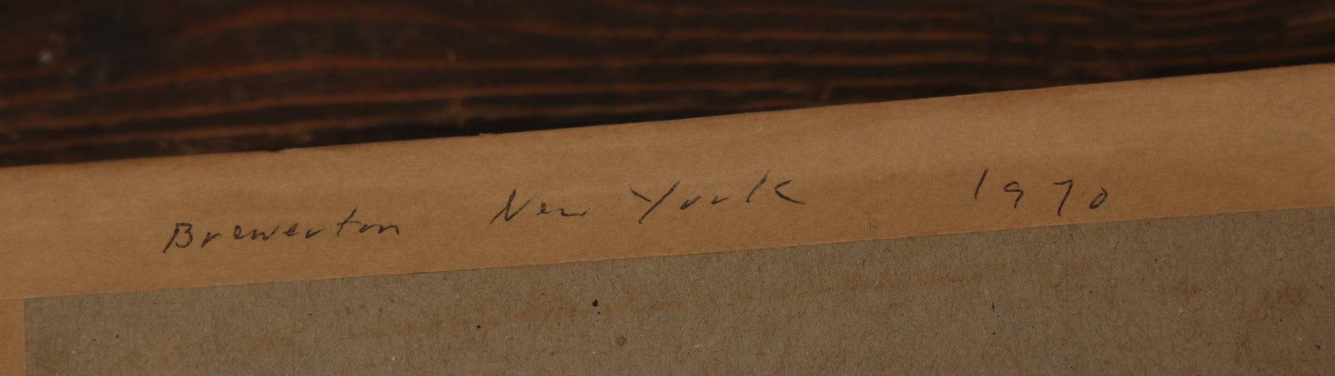 Lot 023 - Vintage Collection Of Dragonfly And Insect Specimens In Riker Case, Collected In Brewerton, New York, 1970