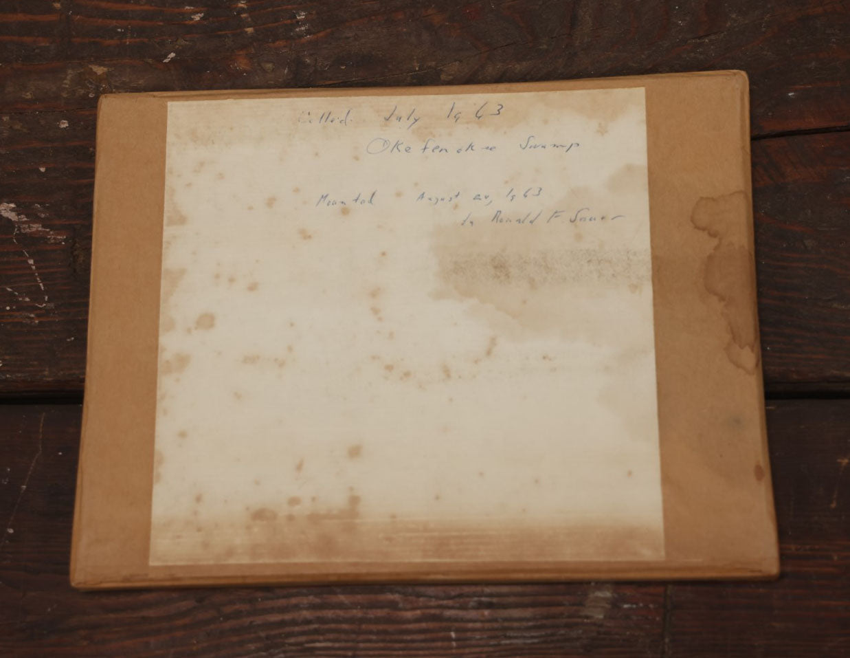 Lot 024 - Vintage Collection Of Dragonfly, Moth, And Insect Specimens In Riker Case, Collected In Okefenokee Swamp, Georgia, 1963, By Ronald F. Sauer