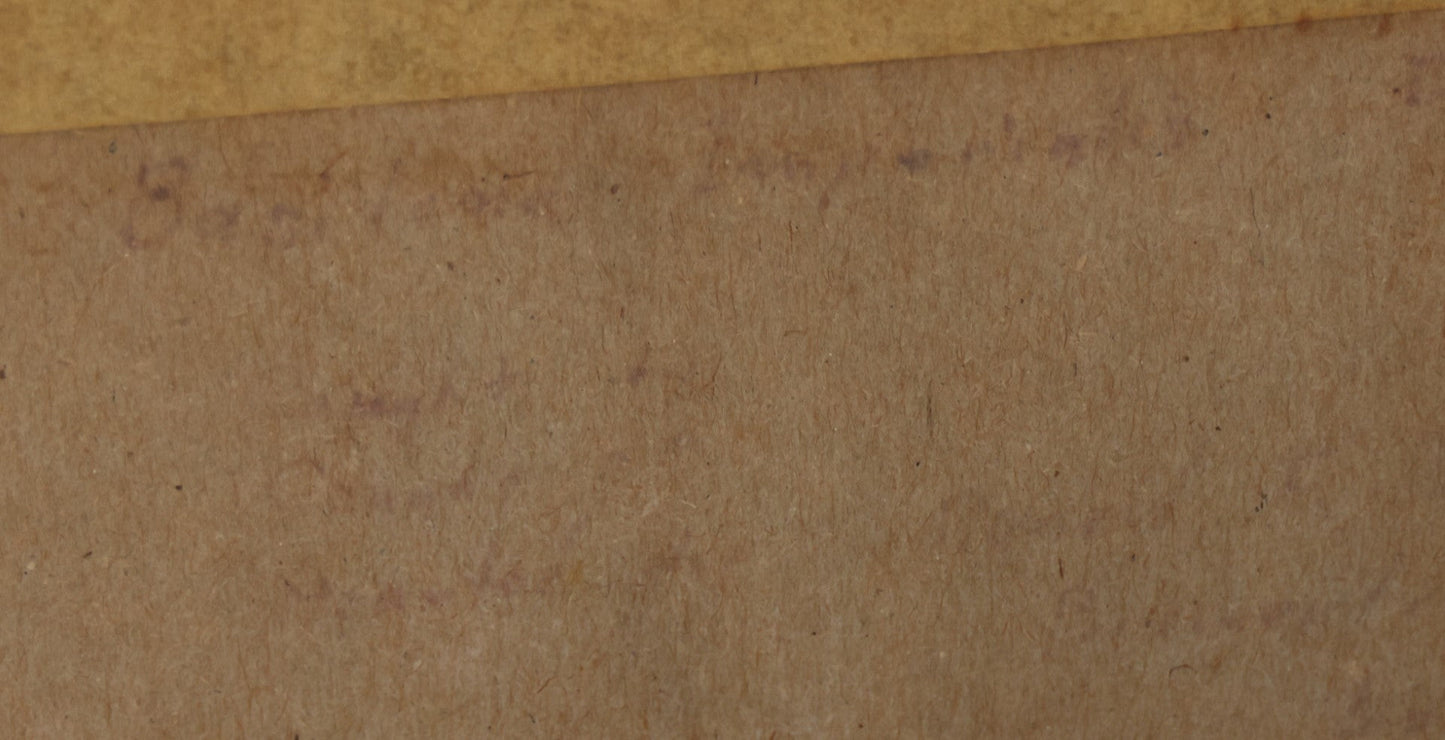 Lot 025 - Single White Moth Specimen In Riker Case, Collected Circa 1960S, Note On Back Faded