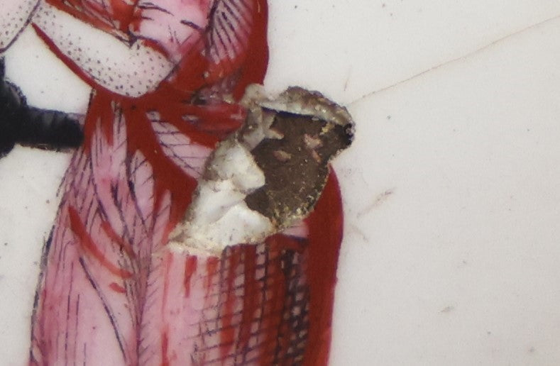 Lot 041 - Antique Hand Painted Porcelain And Brass Nautical Curtain Tie Back Knob, Woman Waiting For Sailor At Sea, On Anchor, Note Chip, Loss