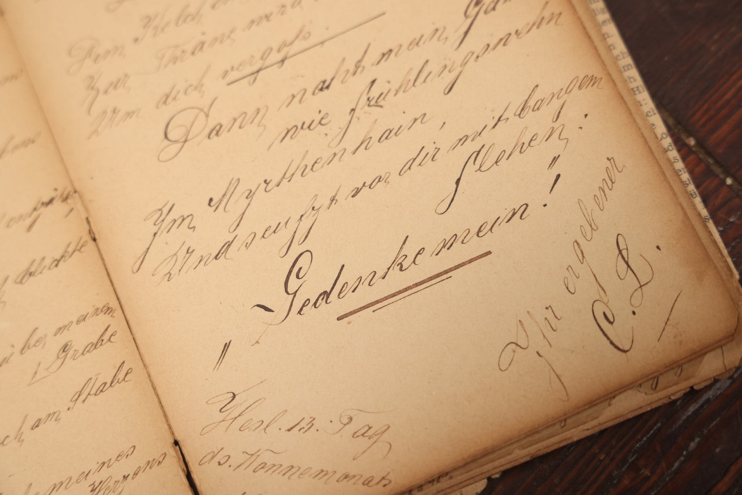 Lot 045 - Antique German Autograph Book, Belonging To Marie Matini, 1891, With Many Signatures, Poems, Hand Painted Cover