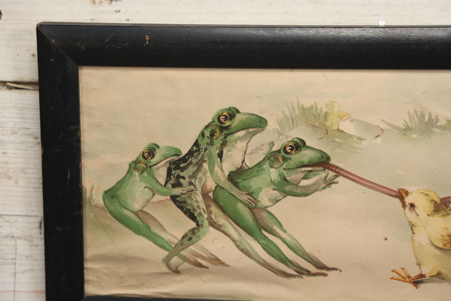 Lot 054 - Antique Lithograph Print, "Tug Of War," Frogs Fighting Over Work With Chicks, In Frame, No Glass, 17-1/4" X 8-1/4"