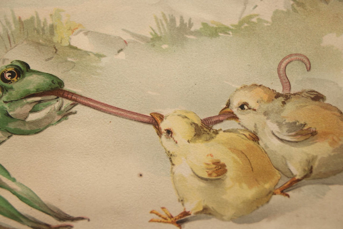 Lot 054 - Antique Lithograph Print, "Tug Of War," Frogs Fighting Over Work With Chicks, In Frame, No Glass, 17-1/4" X 8-1/4"