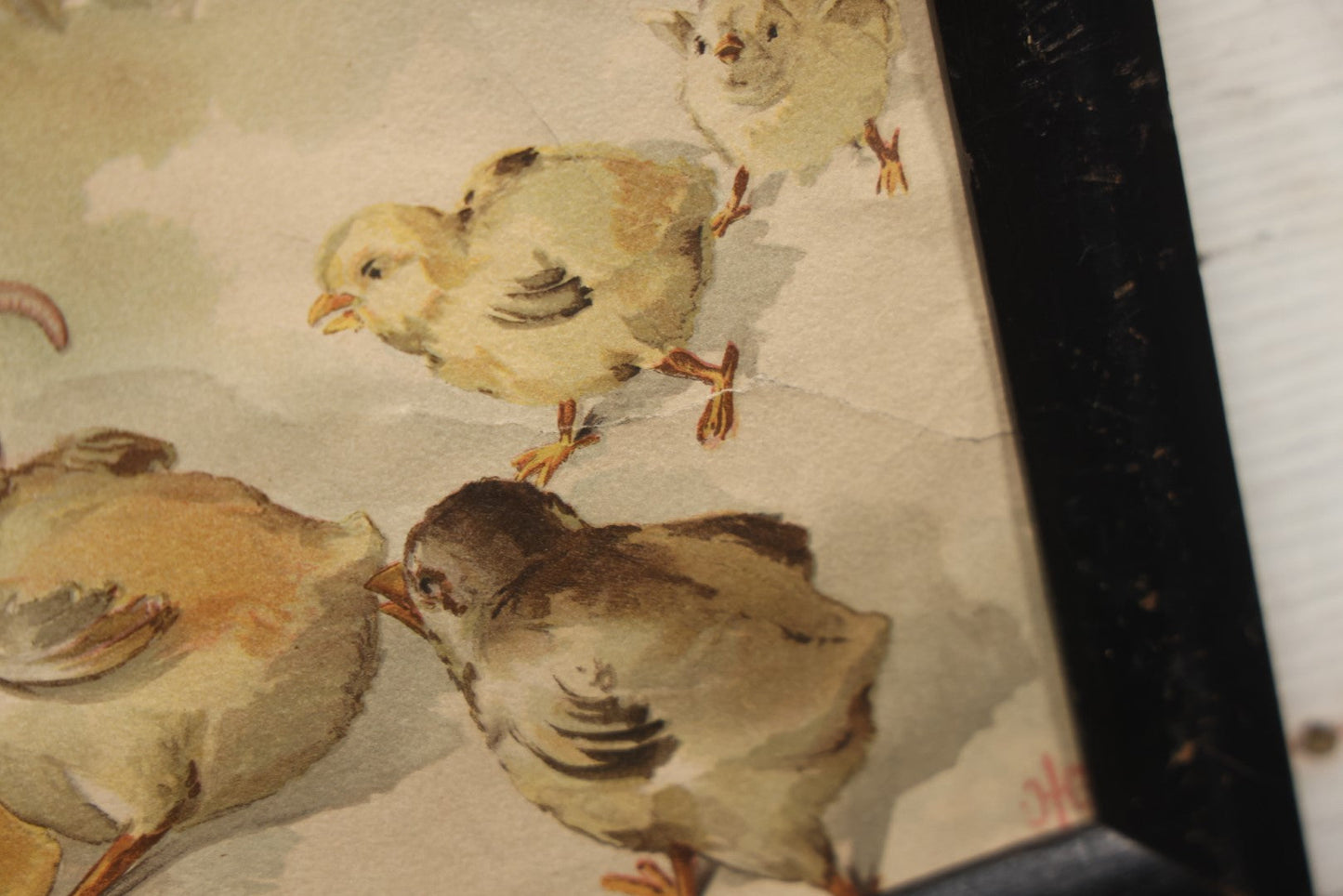 Lot 054 - Antique Lithograph Print, "Tug Of War," Frogs Fighting Over Work With Chicks, In Frame, No Glass, 17-1/4" X 8-1/4"