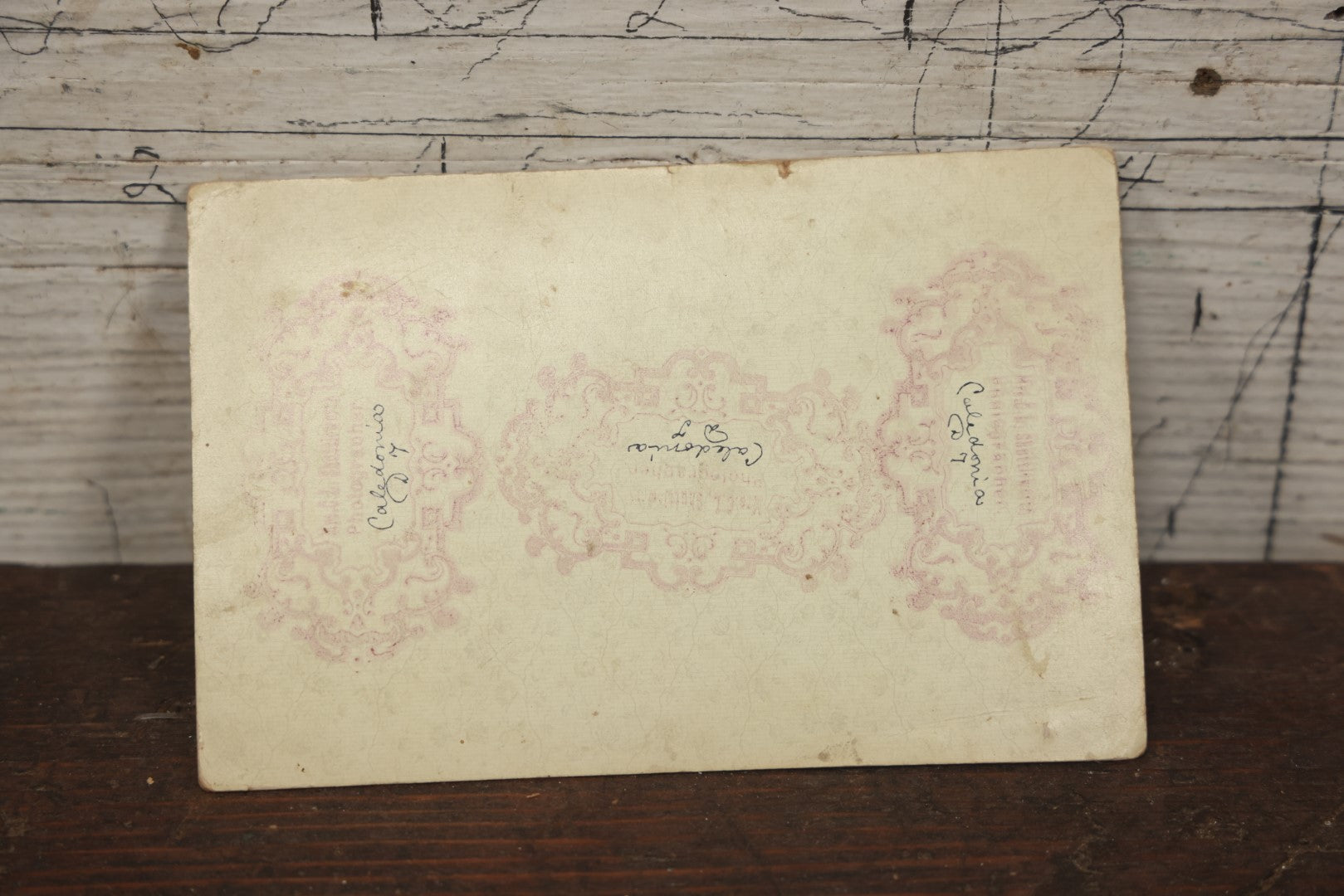 Lot 076 - Antique Cabinet Card Photograph Of A Group Of Men, Women, And Children In Sashes On A Horse Drawn Parade Float, Back Mark With "Caledonia" Written