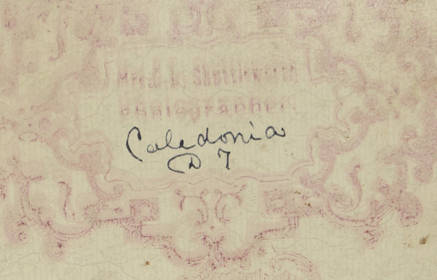 Lot 076 - Antique Cabinet Card Photograph Of A Group Of Men, Women, And Children In Sashes On A Horse Drawn Parade Float, Back Mark With "Caledonia" Written