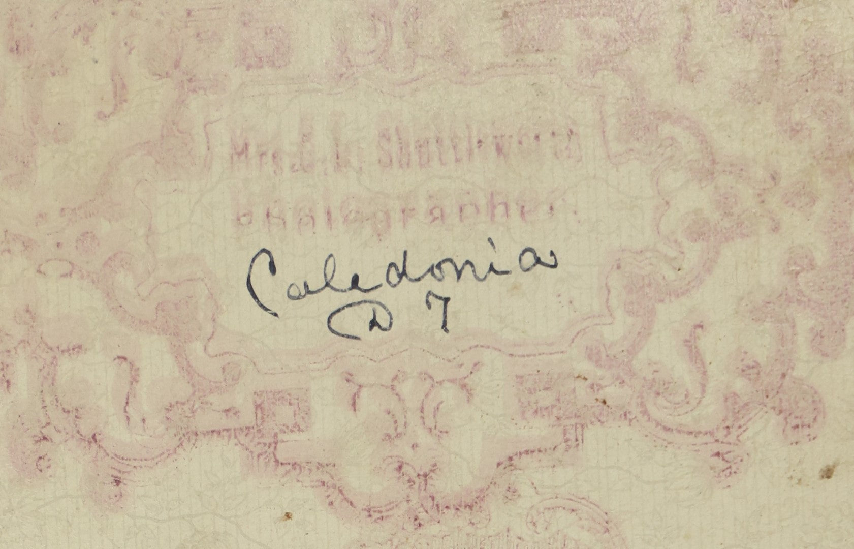 Lot 076 - Antique Cabinet Card Photograph Of A Group Of Men, Women, And Children In Sashes On A Horse Drawn Parade Float, Back Mark With "Caledonia" Written