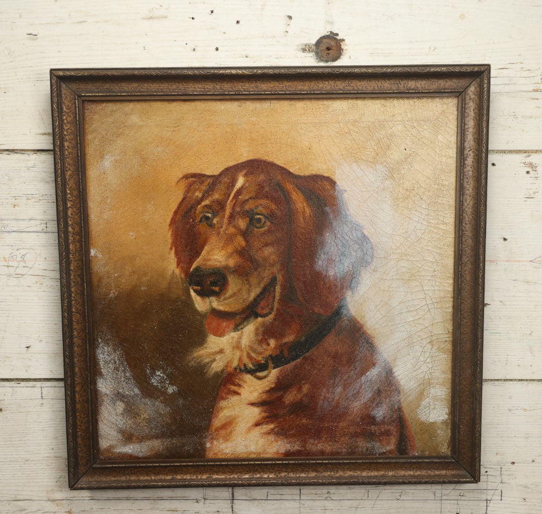 Lot 006 - Antique Oil On Canvas Dog Portrait Painting, Note White Splotches, Gallery Label From Fenway Art Center, Boston, Massachusetts, Garabedian Family Proprietors, In Frame, 20-1/2 x 20-1/2"