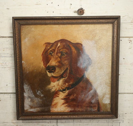 Lot 006 - Antique Oil On Canvas Dog Portrait Painting, Note White Splotches, Gallery Label From Fenway Art Center, Boston, Massachusetts, Garabedian Family Proprietors, In Frame, 20-1/2 x 20-1/2"