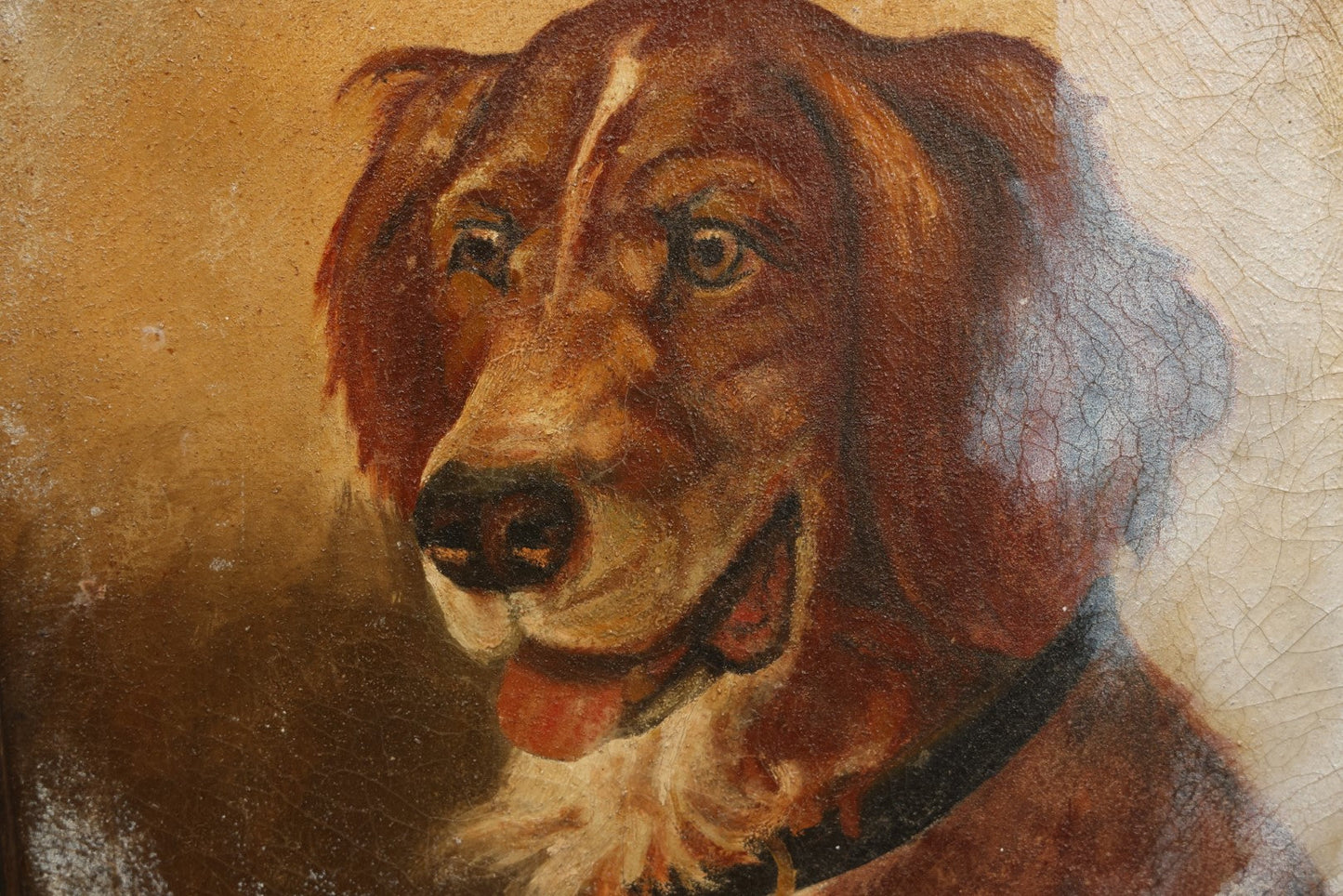 Lot 006 - Antique Oil On Canvas Dog Portrait Painting, Note White Splotches, Gallery Label From Fenway Art Center, Boston, Massachusetts, Garabedian Family Proprietors, In Frame, 20-1/2 x 20-1/2"