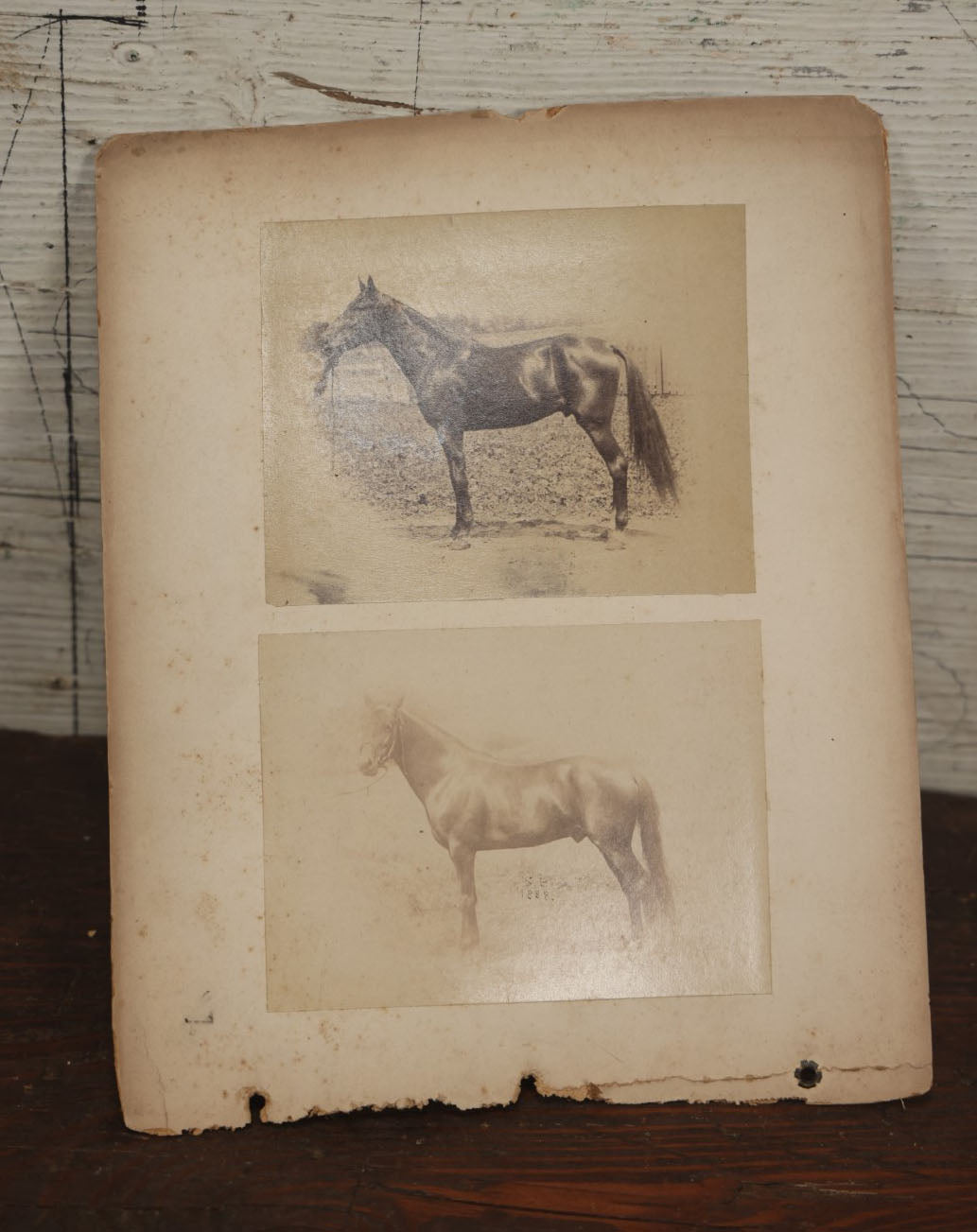 Lot 011 - Antique Mounted Photograph Of A Black Man And His Child, Early African American Photo, Standing By Fence, Photos Of Horses On Reverse