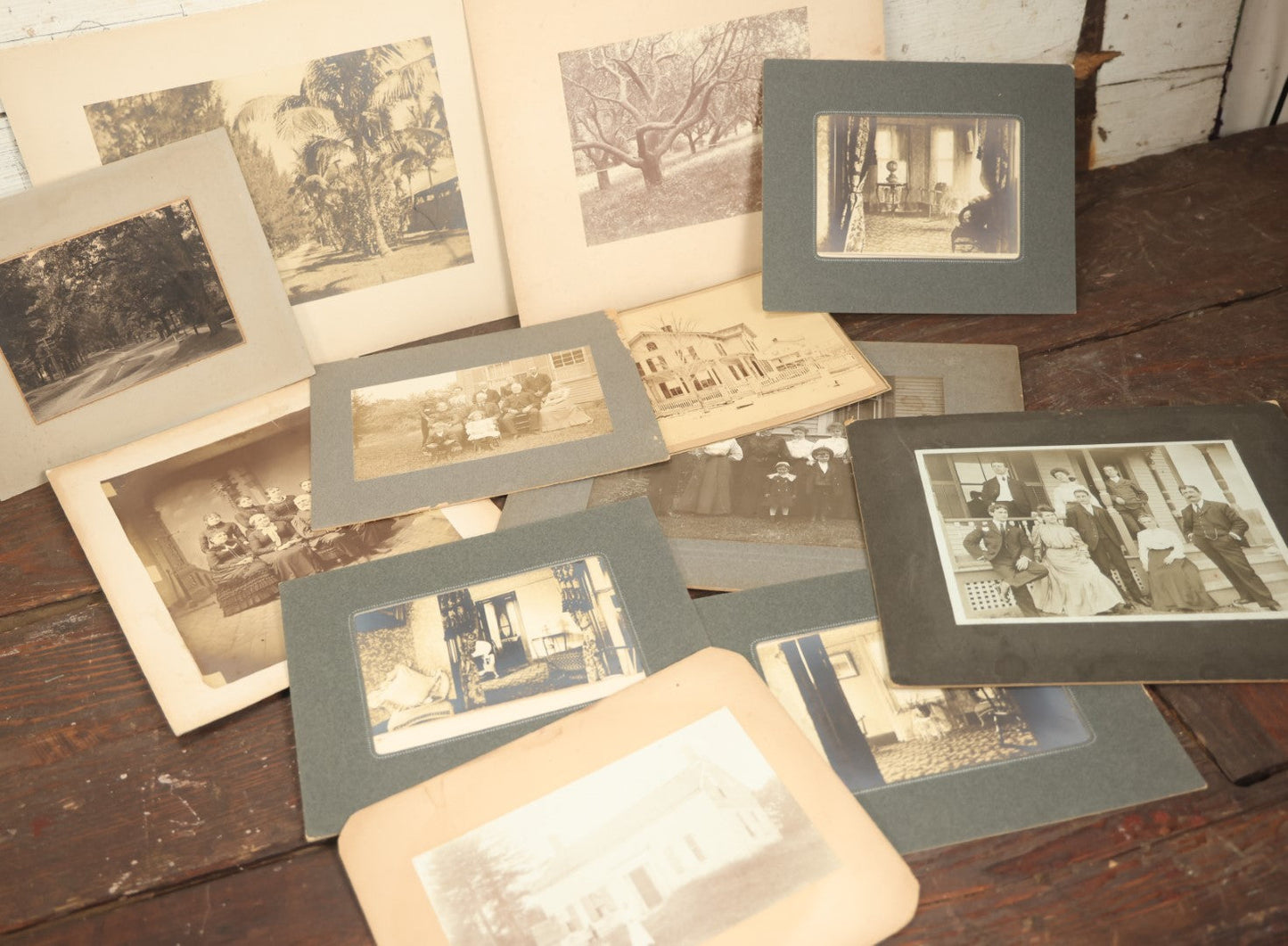 Lot 141 - Grouping Of 12 Antique Boarded Photos Of People, Houses, Trees And More, Including West Palm Beach Florida