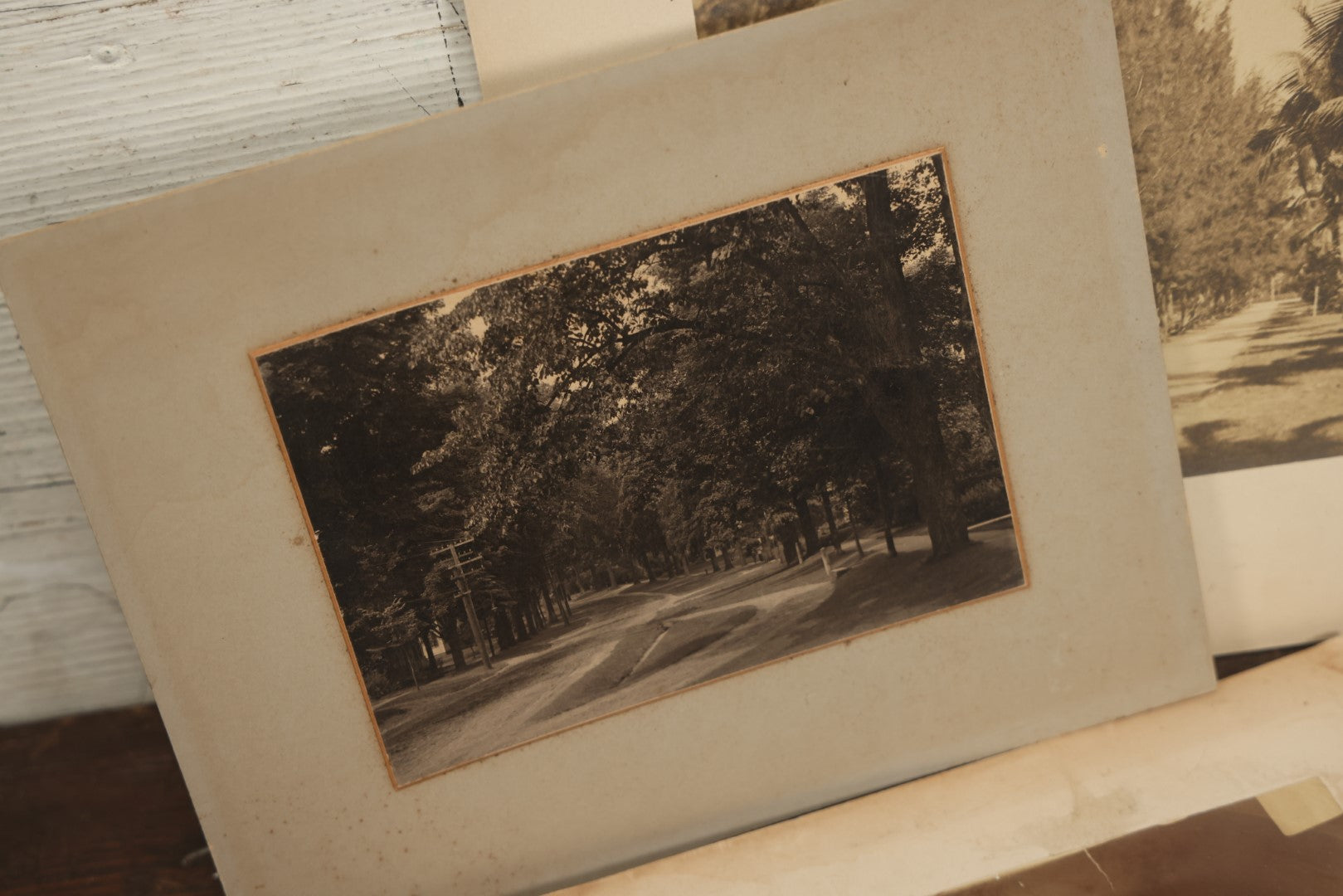 Lot 141 - Grouping Of 12 Antique Boarded Photos Of People, Houses, Trees And More, Including West Palm Beach Florida