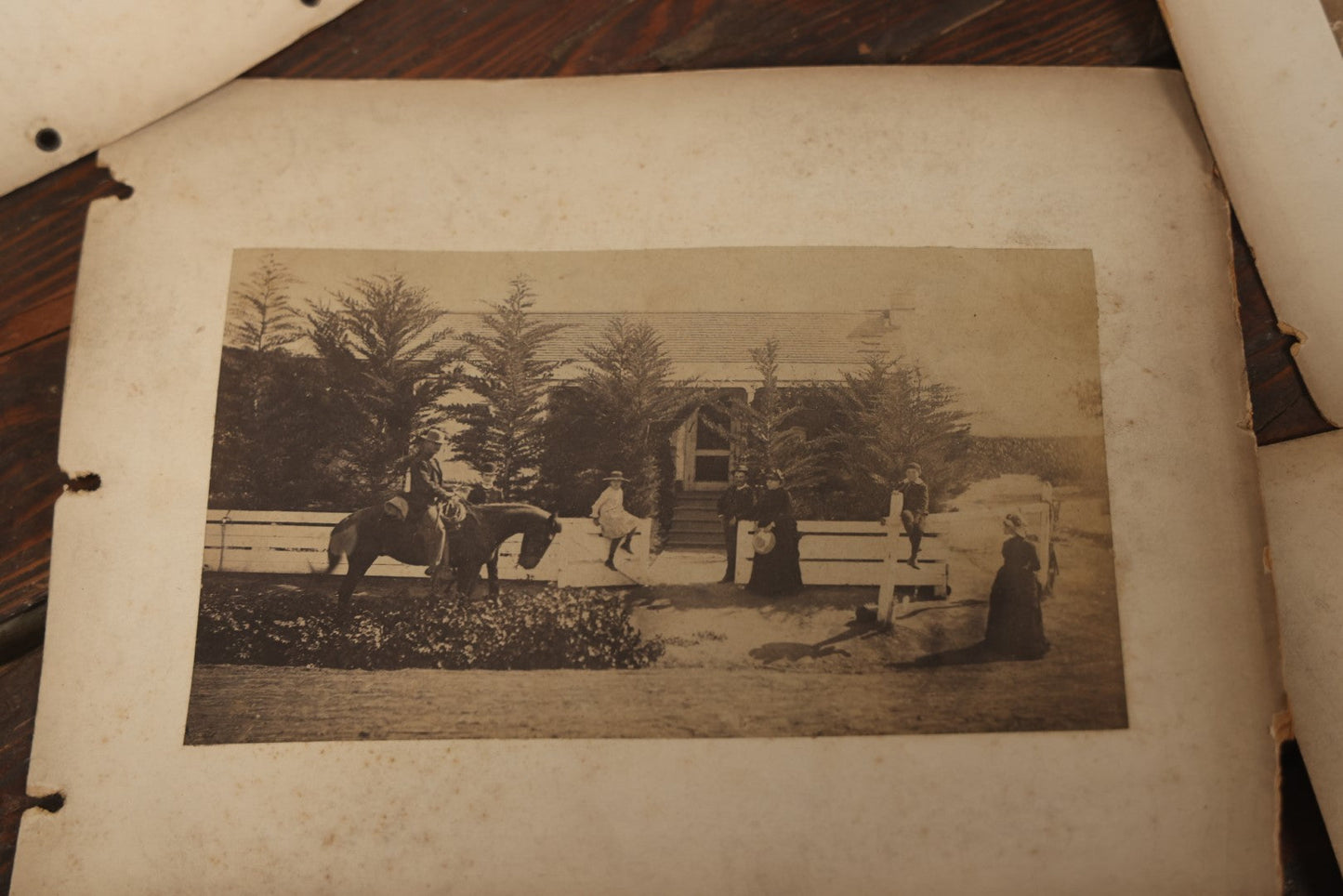 Lot 047 - Grouping Of 9+ Antique Boarded Photographs (Two Photos Per Each, Double Sided) Featuring People On Horseback, Couple Sleeping On Porch, Various Group Nature Photos, Circa 1880s