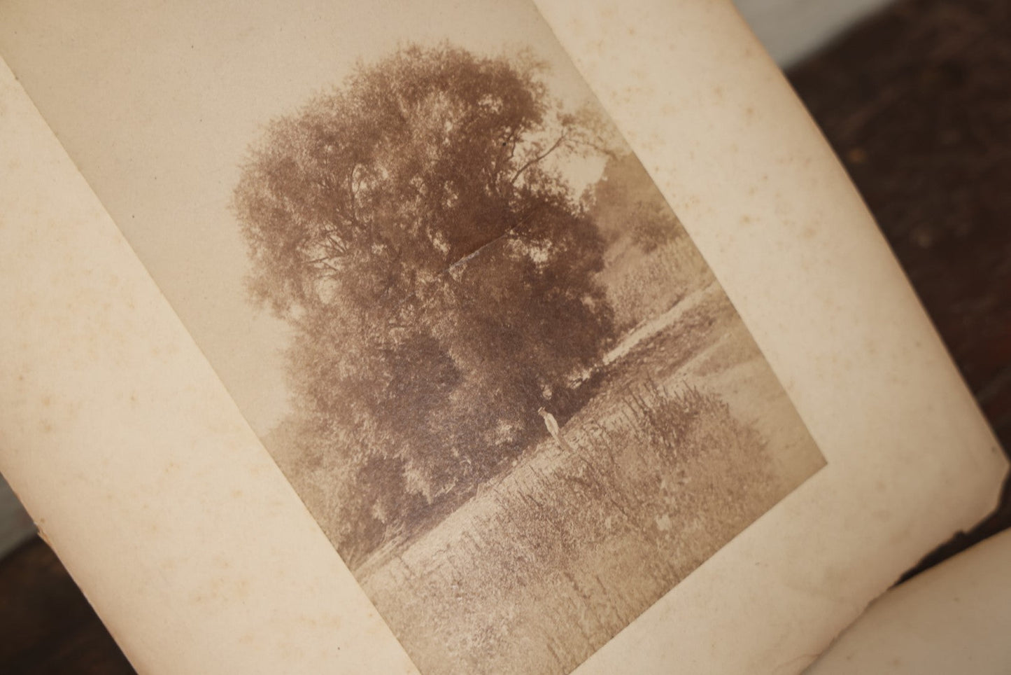 Lot 047 - Grouping Of 9+ Antique Boarded Photographs (Two Photos Per Each, Double Sided) Featuring People On Horseback, Couple Sleeping On Porch, Various Group Nature Photos, Circa 1880s