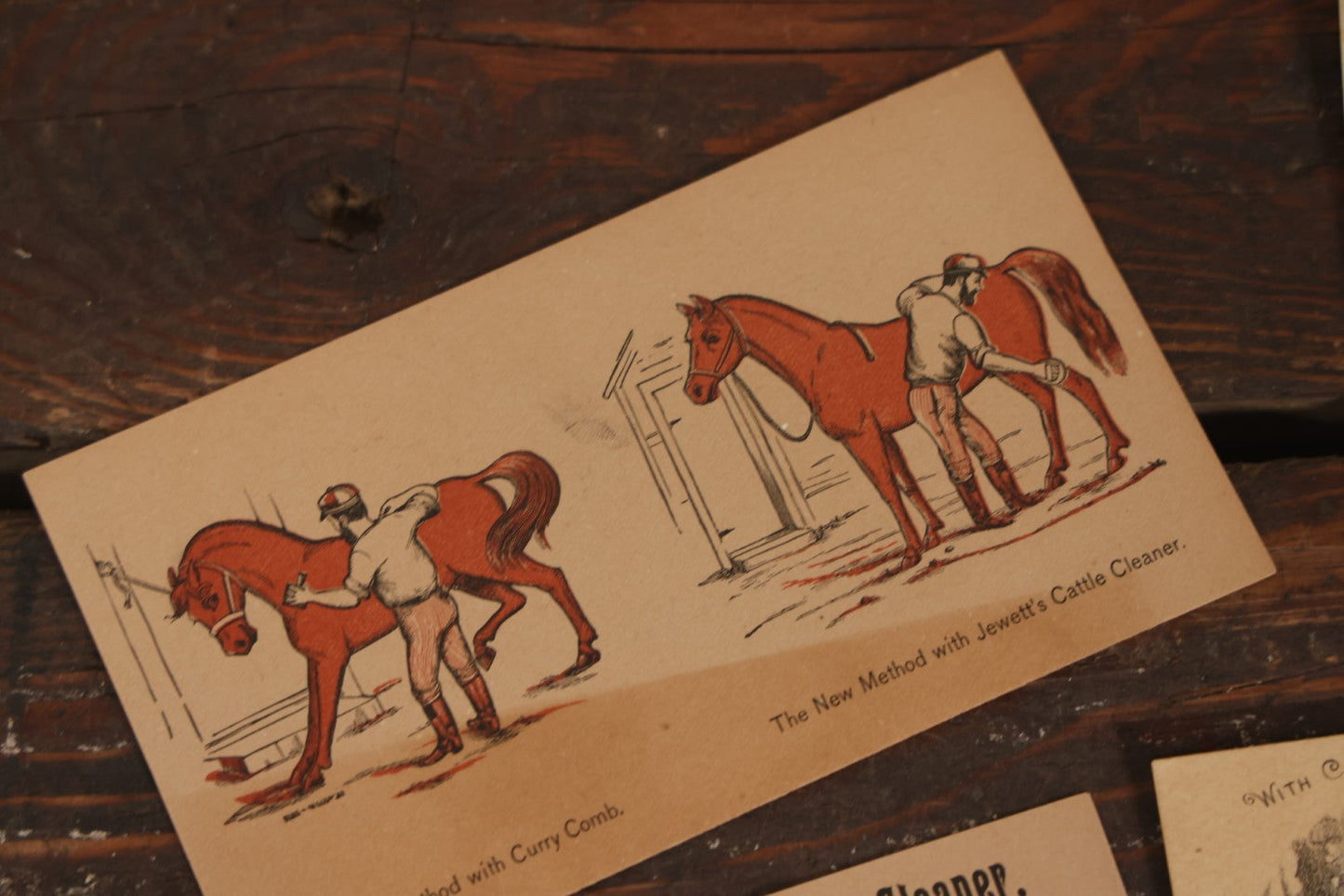 Lot 119 - Grouping Of Six Antique Trade Cards Advertising Jewett's Champion Horse And Cattle Cleaner, Livery Stable In Millville, Massachusetts, New Home Sewing Machine, And Horsford's Acid Phosphate