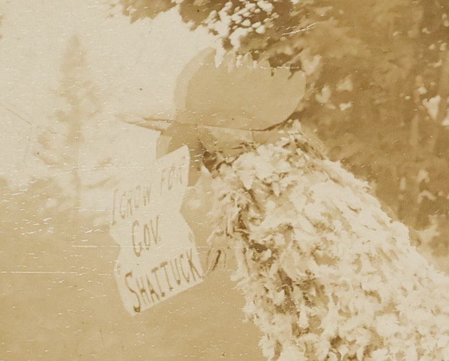 Lot 032 - Antique Boarded Photograph Of A Parade Costume, Giant Chicken With Sign "I Crow For Gov. Shattuck" Local Political Protest, Dated July 4, 1896, Constructed By Harry Gilson