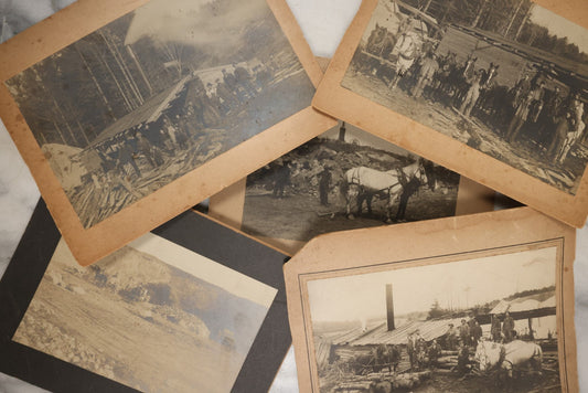 Lot 039 - Grouping Of Five Antique Boarded Occupational Photographs Of Men Working And Their Horses, Beasts Of Burden, Logging And Other Job Sites