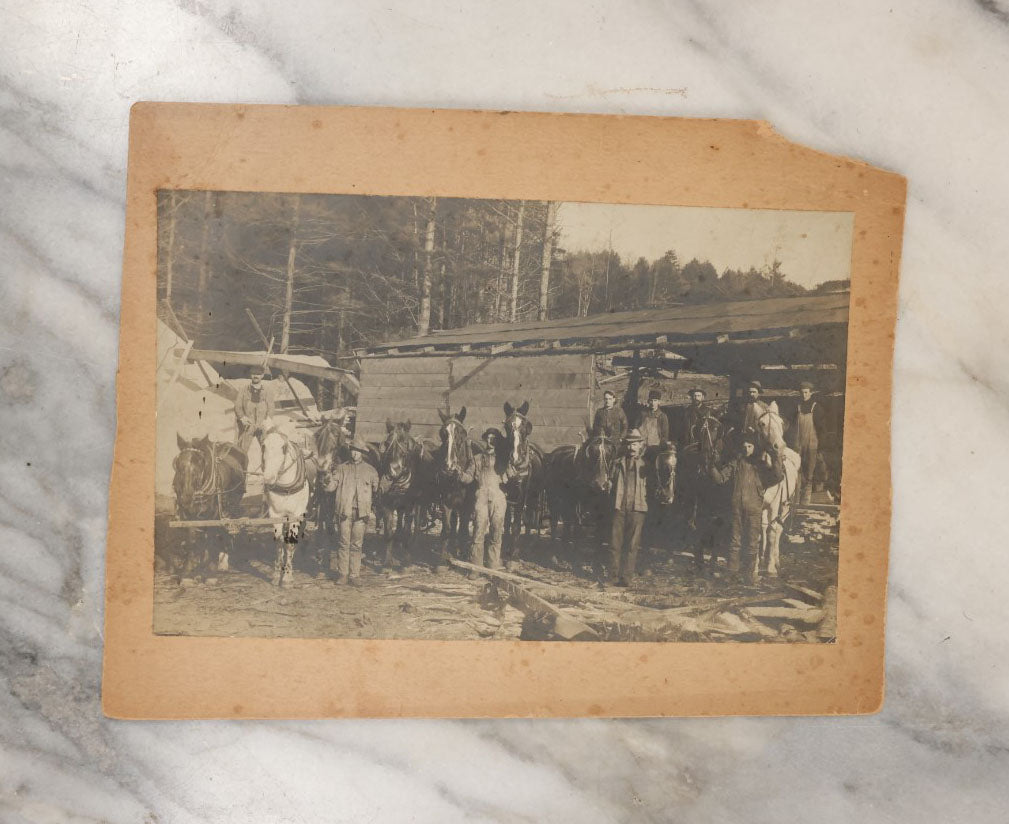 Lot 039 - Grouping Of Five Antique Boarded Occupational Photographs Of Men Working And Their Horses, Beasts Of Burden, Logging And Other Job Sites