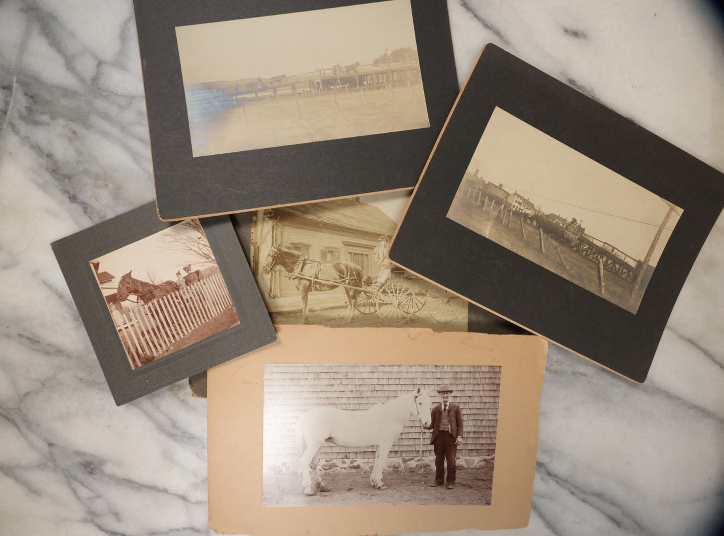 Lot 042 - Grouping Of Five Antique Boarded Photos Of People And Their Horses, Including Man And Woman In Carriage, Man With White Horse, And Horses Loading Rail Cars