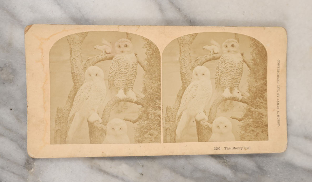 Lot 059 - Grouping Of 20+ Antique Stereo Optic 3D Stereo Cards, Mostly Featuring Views Of The 1893 Chicago Columbian Exposition, Plus Union Pacific Railroad, Grammar School Class, Snowy Owl, And More