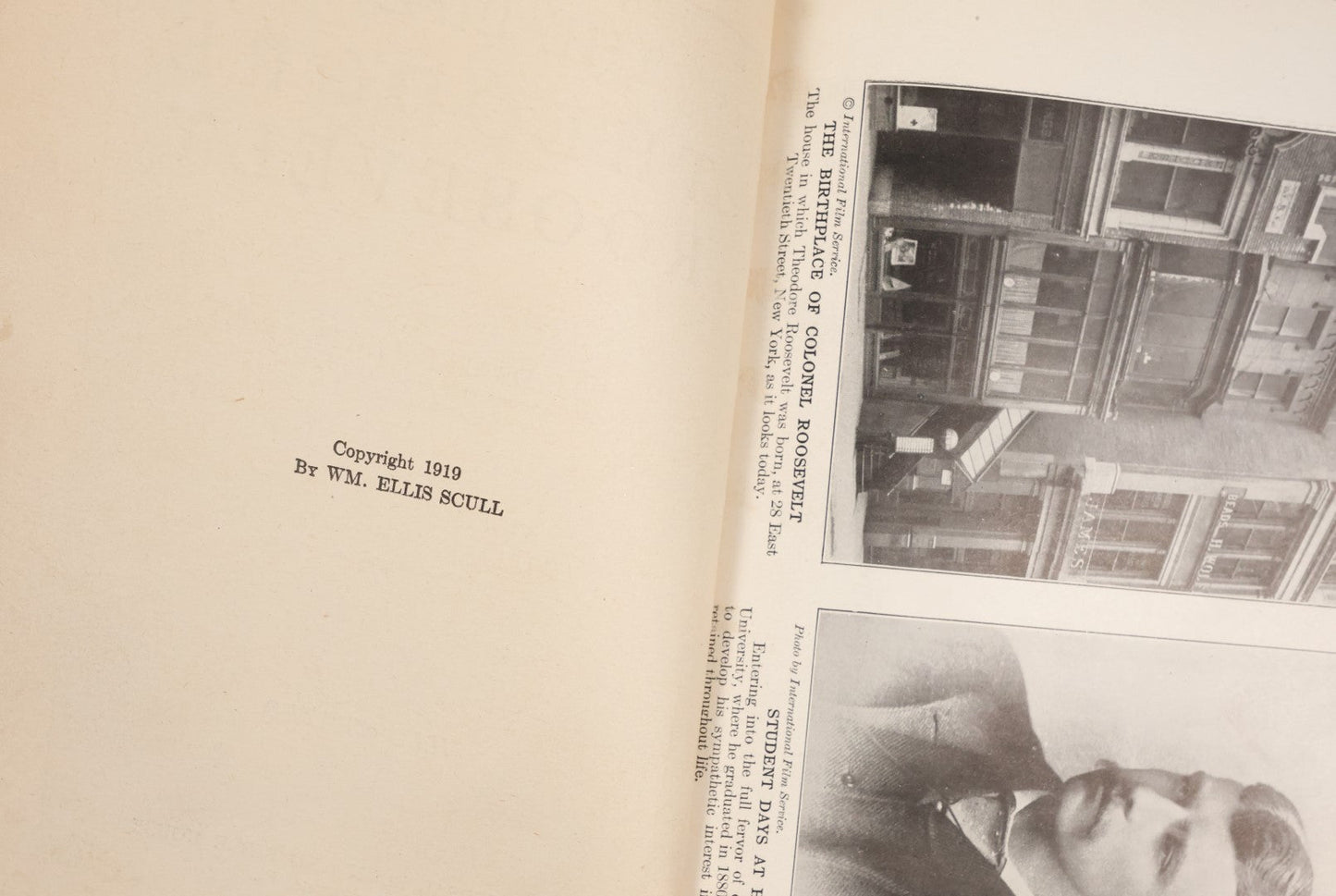Lot 118 - "The Life Of Theodore Roosevelt" Antique Book By Draper Lewis, Illustrated, With And Introduction By William Howard Taft, Copyright 1919 By Wm. Ellis Scull