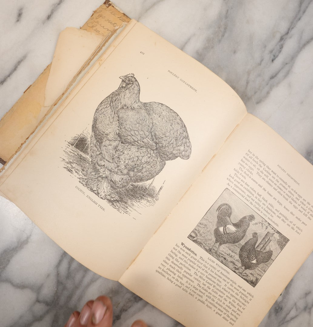 Lot 120 - Antique Craft Grade Book On The Anatomy And Health Of Horses And Cattle, With Fold Out Anatomical Diagrams, Poor Condition, Loose Pages, Wear Throughout