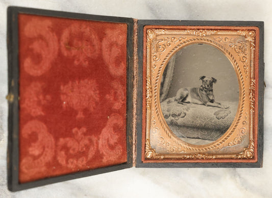 Lot 017 - Antique 1/6th Plate Tintype Photograph Of A Small Dog Seated On A Cushion, Clear And Crisp Image, In Leatherette Case