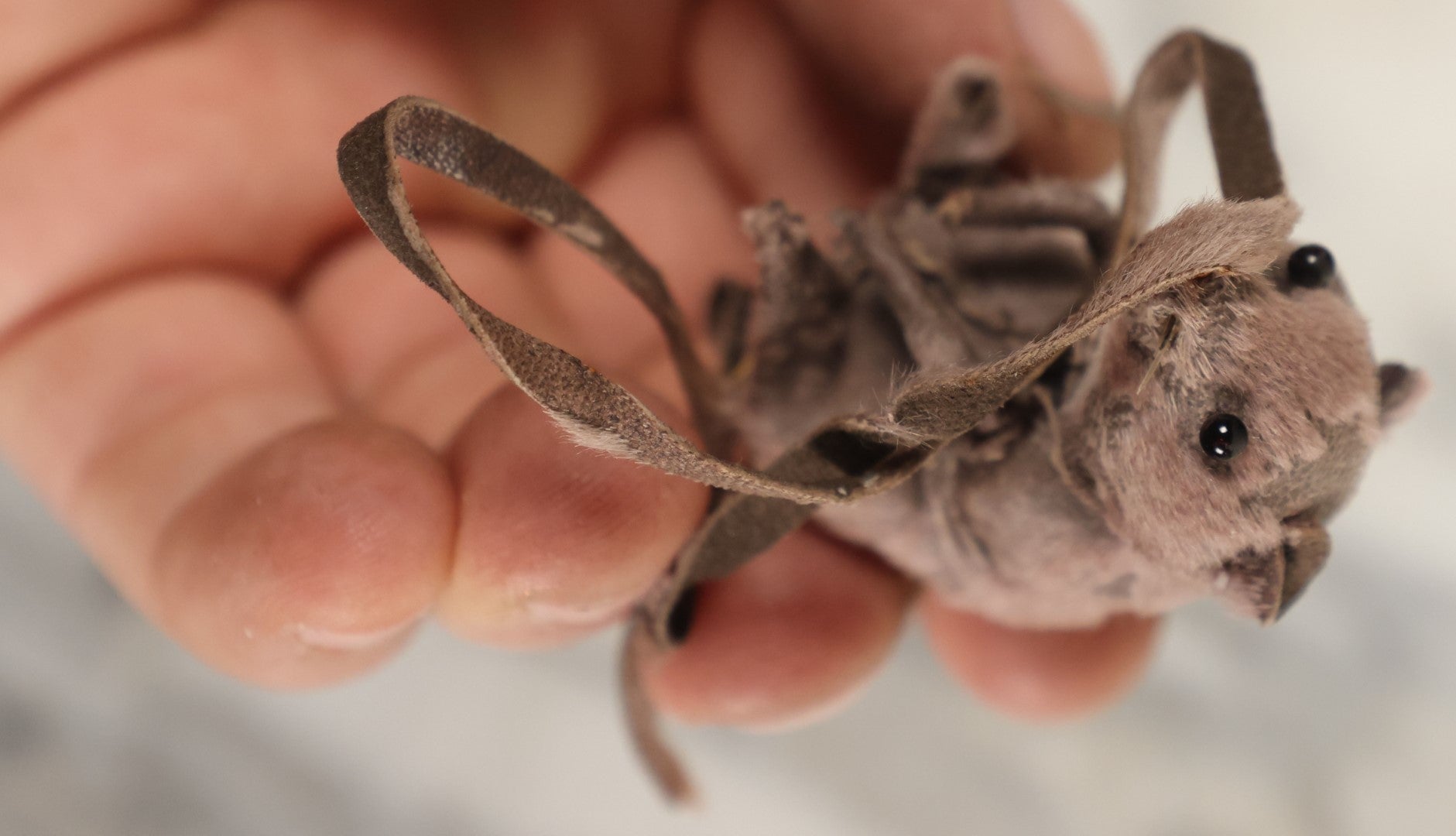 Lot 191 - Vintage Tall Tails Mouse Novelty Bookmark, Copyright Shackman, New York, Made In Germany, In Original Box