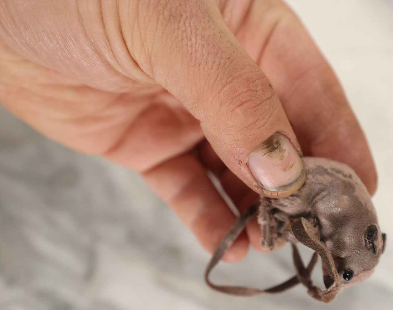 Lot 191 - Vintage Tall Tails Mouse Novelty Bookmark, Copyright Shackman, New York, Made In Germany, In Original Box