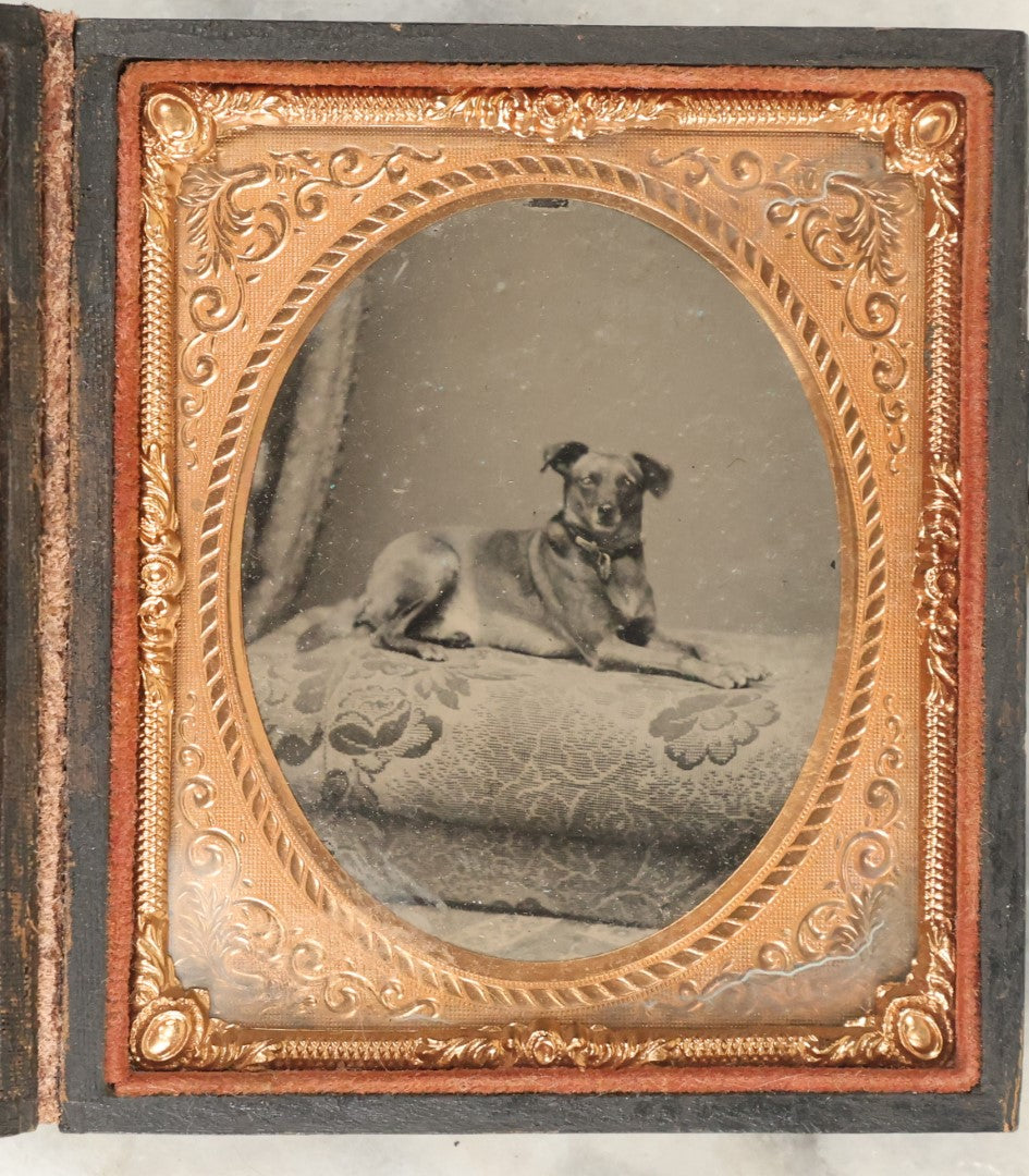 Lot 017 - Antique 1/6th Plate Tintype Photograph Of A Small Dog Seated On A Cushion, Clear And Crisp Image, In Leatherette Case