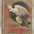 Lot 036 - "Wood's Natural History: Illustrated Natural History (Animals And Birds)" Antique Book By Rev J.G. Wood, With Illustrations, Many In Color, Published By Gilbert H. Mckibbin, New York, 1899